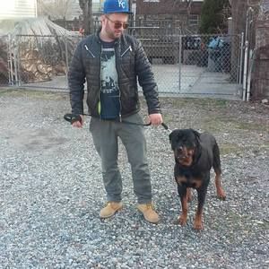 Meet your Posher, Anthony